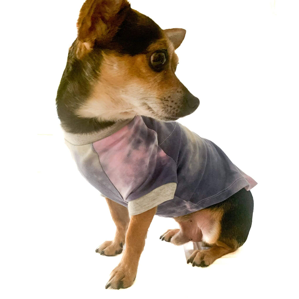 Small Dachshund mix wearing pastel tie-dye raglan dog tshirt. Made from super soft repurposed jersey and features rib trim at neck and sleeve openings designed for dog's all day comfort and fun prints to match your pup's personality.
