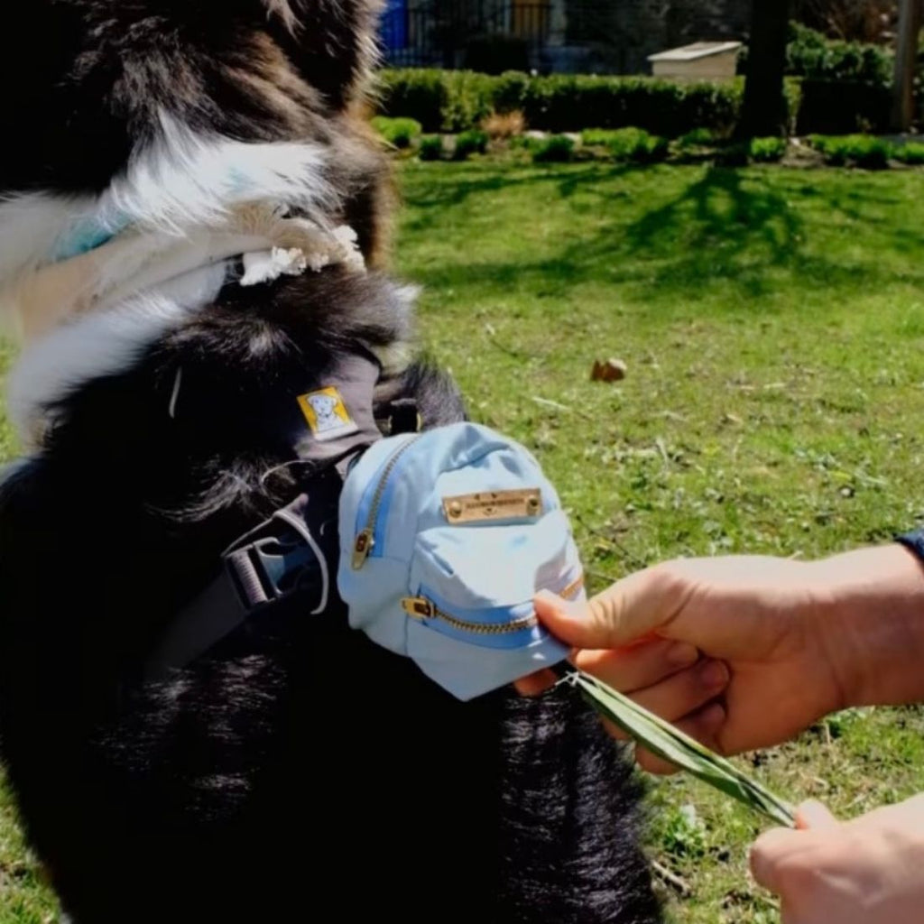 Aqua Twill Dog backpack waste bag and treat dispenser shown worn on dog's harness. Person is dispensing a dog poop bag from the backpack's front pocket.
