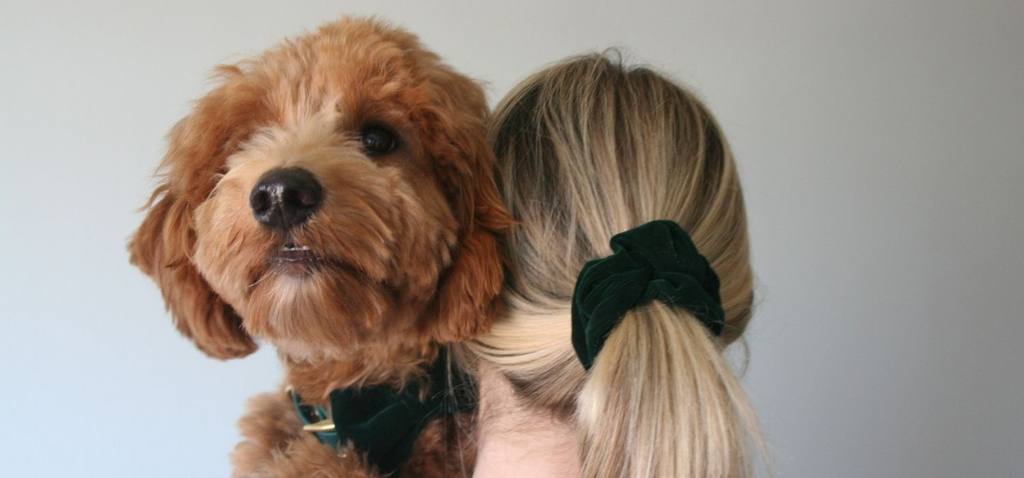 woman facing backwards with a small fluffy dog posing over her shoulder. The dog is wearing a green velvet bow tie on a green collar and she has a low ponytail with a matching green velvet scrunchie.