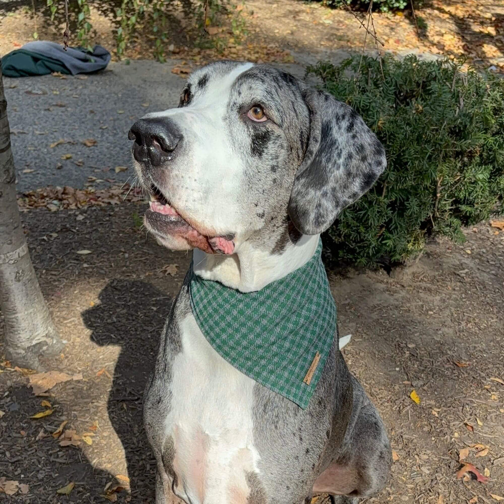 Evergreen Knit Plaid Bandana Hudson Houndstooth