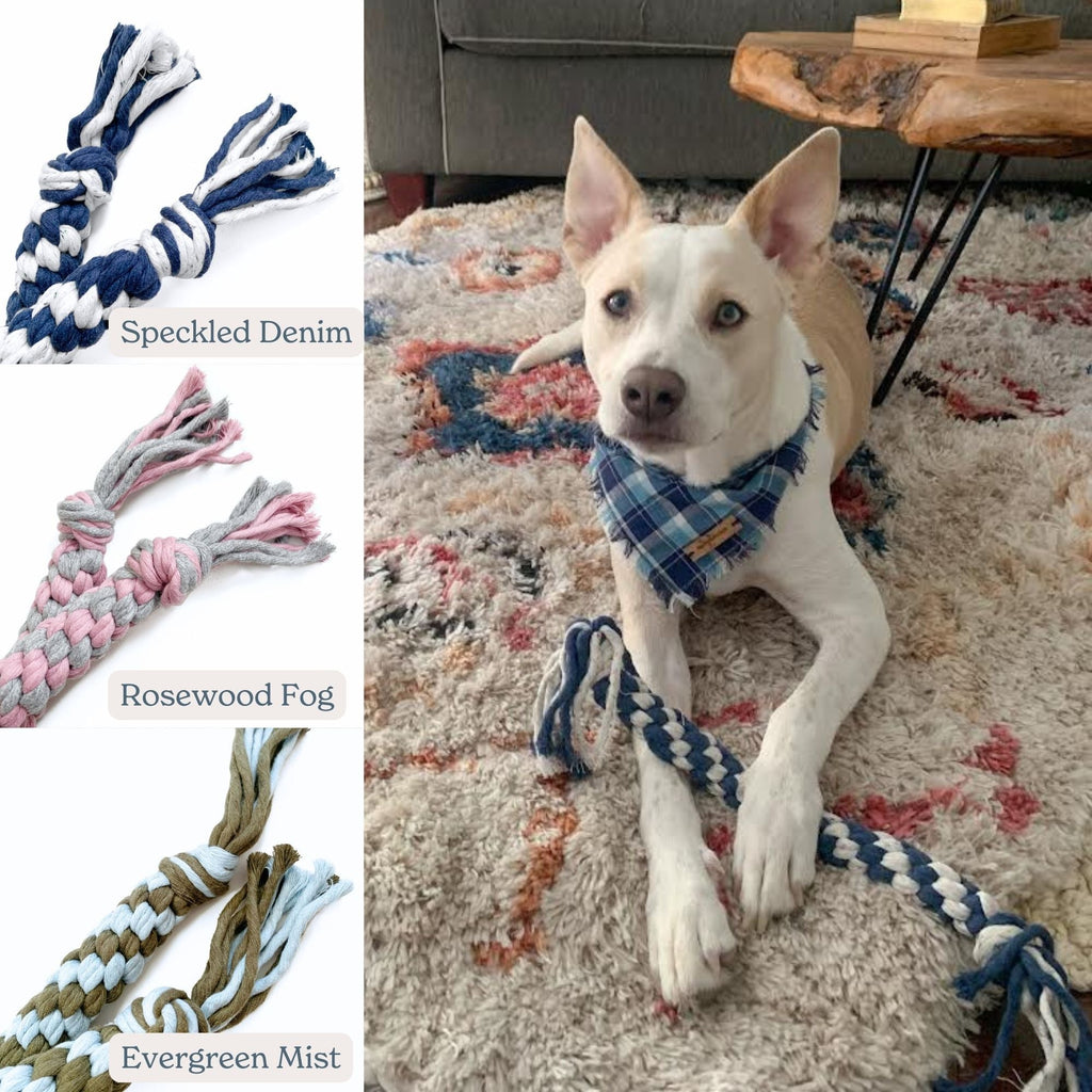 Riley Twist Rope Toy Kit Hudson Houndstooth