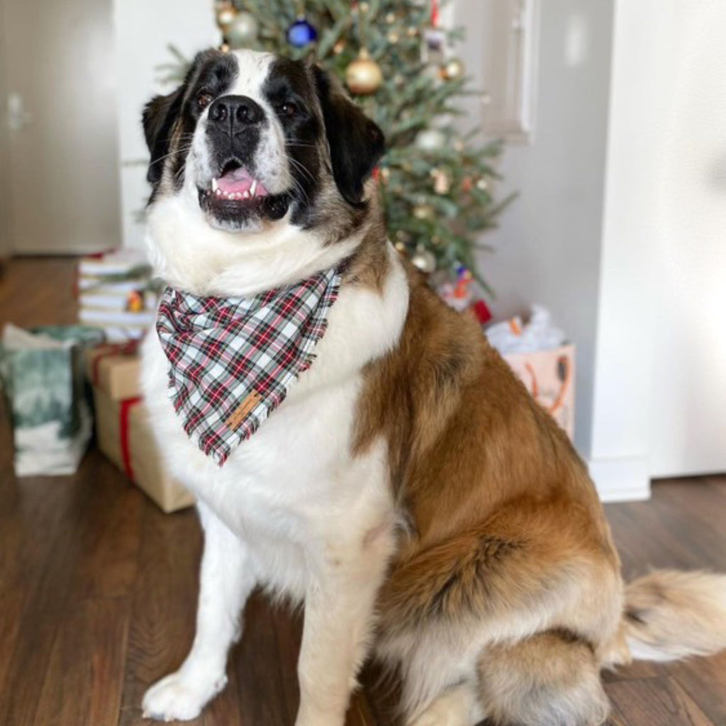 White Christmas Plaid Bandana Hudson Houndstooth