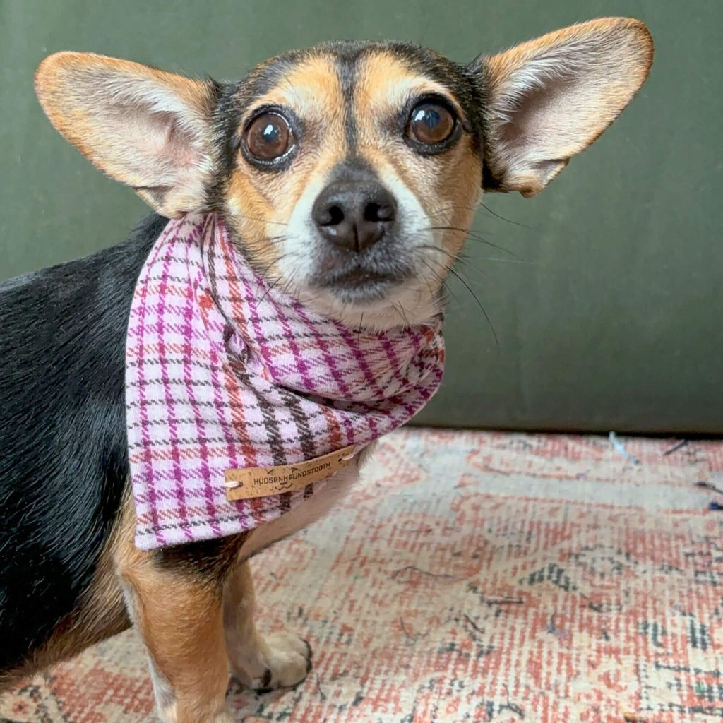 Autumn Rose Plaid Bandana Hudson Houndstooth