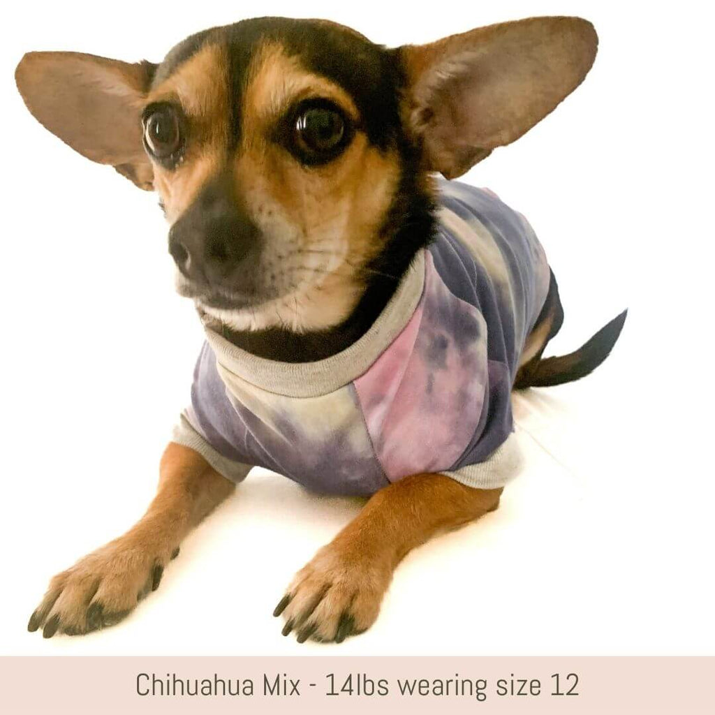 Small Chihuahua mix lying down wearing pastel tie dye raglan dog tshirt handmade from repurposed fabric salvaged from the fashion industry. Dog is approximately 14lbs and wearing a size 12.