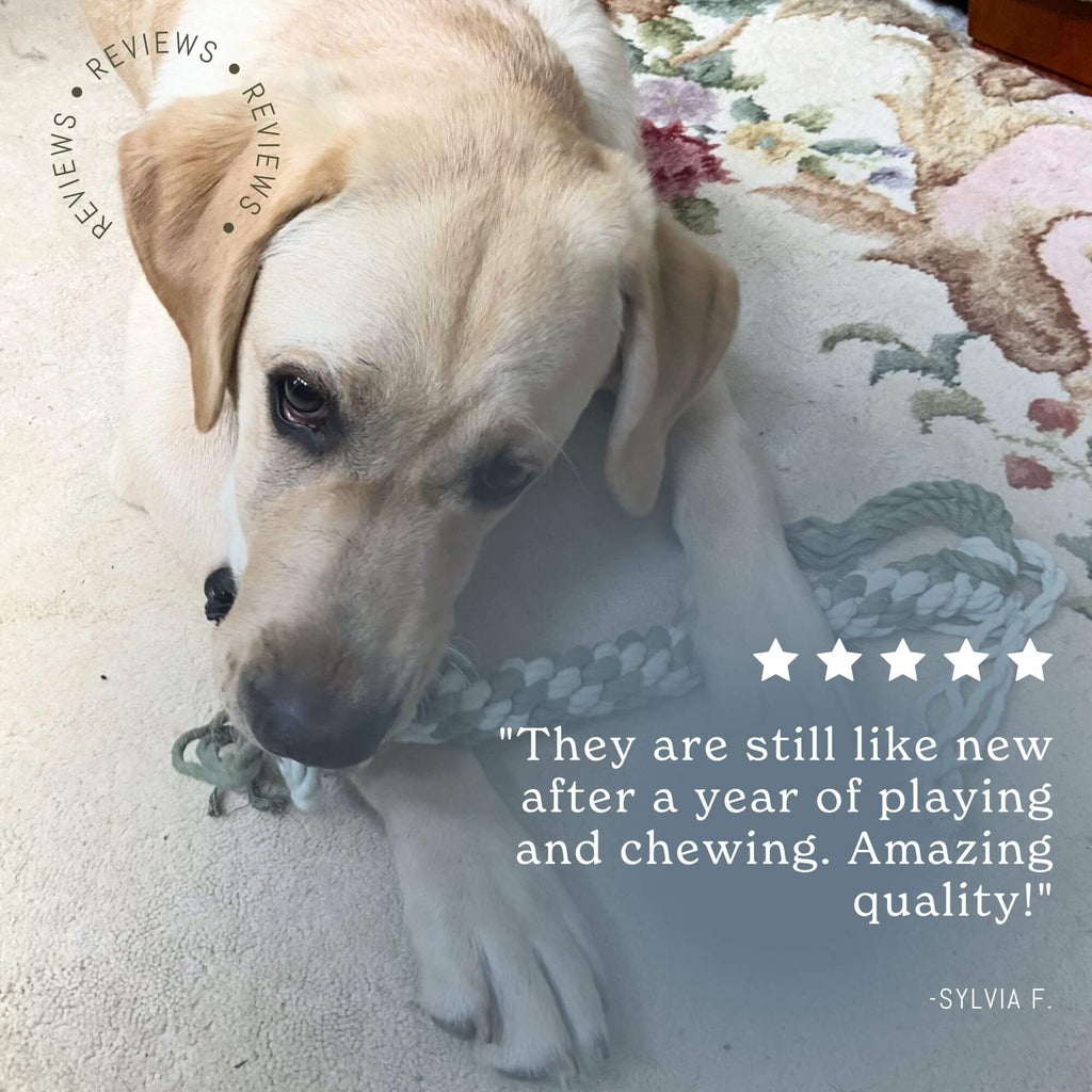 Soft Sage Tug Toy Hudson Houndstooth