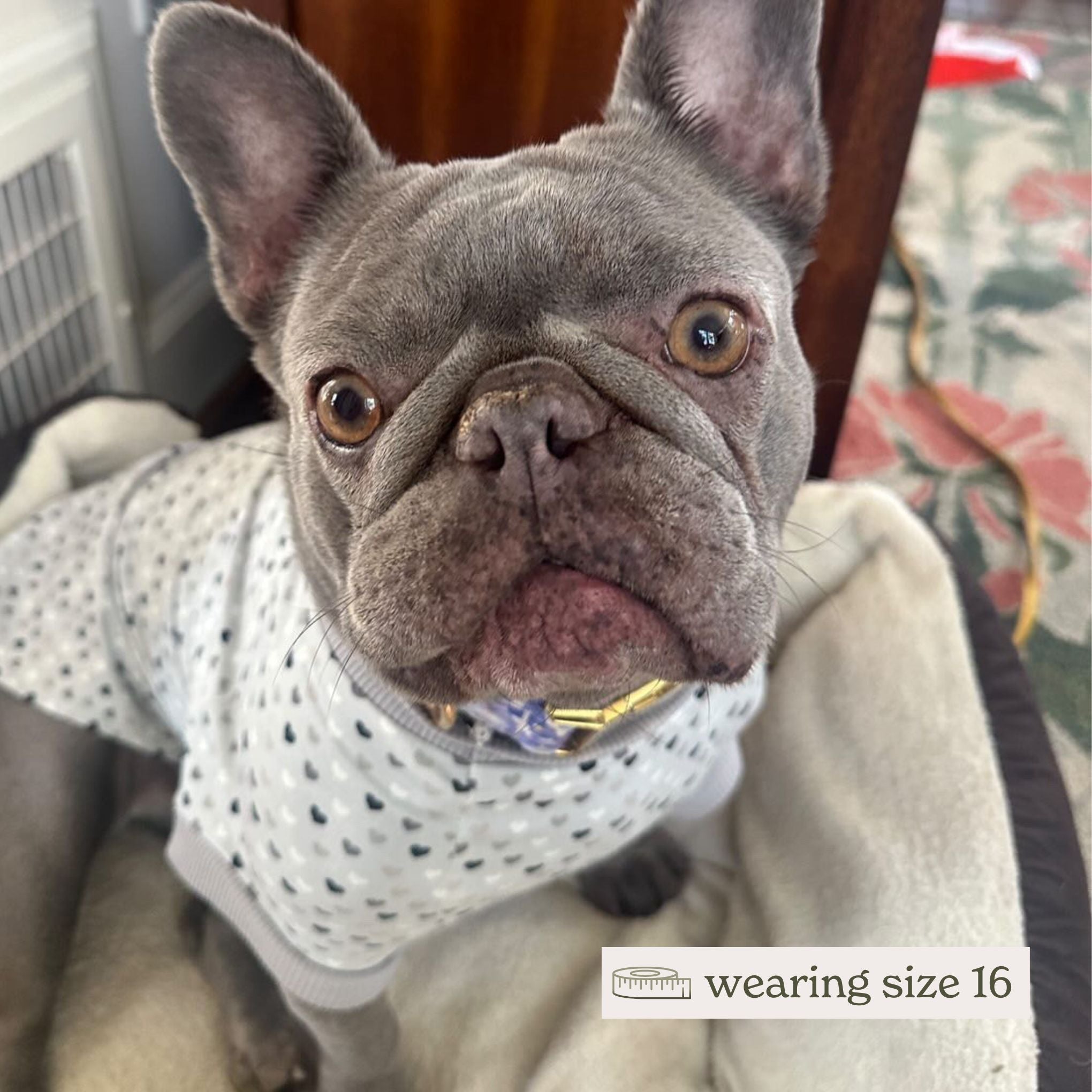 Comfortable Eco-friendly Dog Tshirt Hudson Houndstooth - Main Image