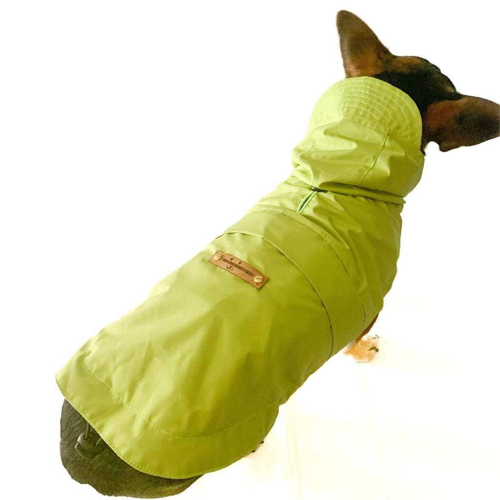 Photo shows top view of packable dog raincoat with hood worn by small dog in bright citrus color. Photo shows snap-back hood with visor detail as well as buttonhole for harness attachment, Hudson Houndstooth cork leather label and elastic cording at hem.