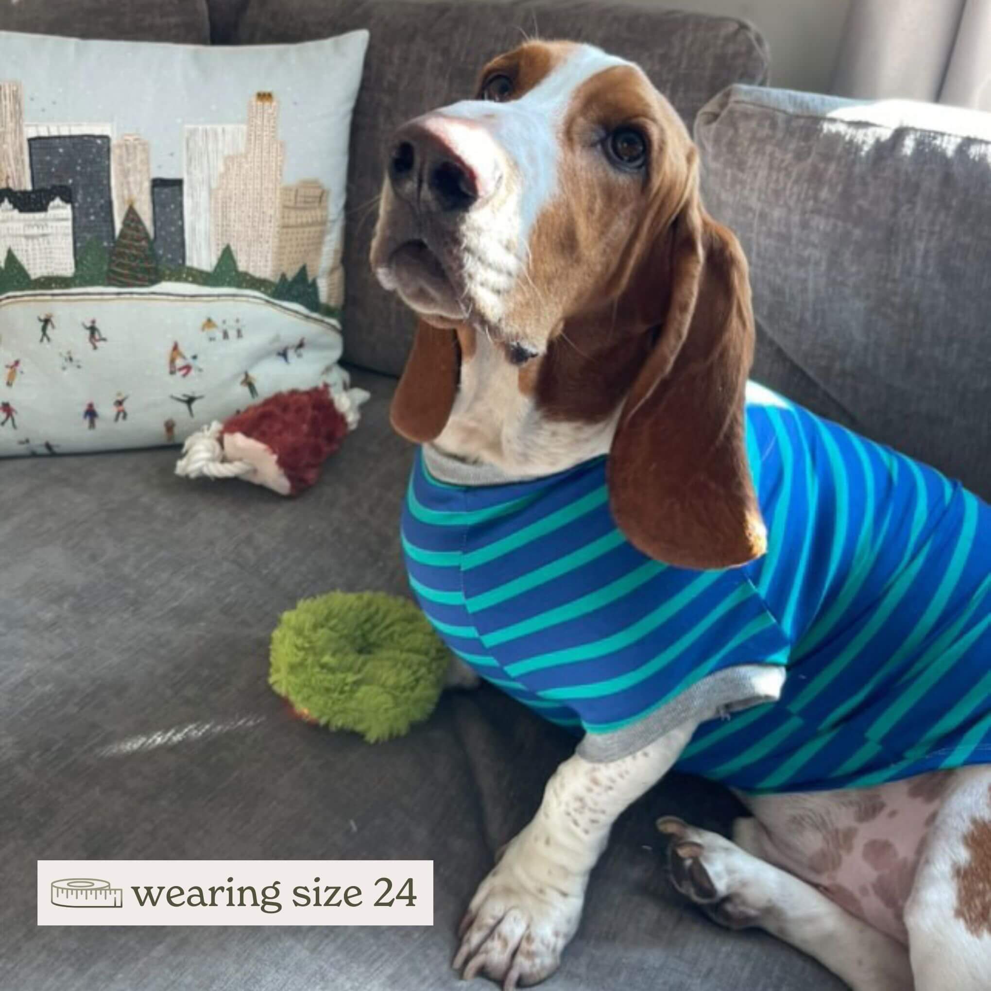 Comfortable & Eco-friendly Dog Tshirt